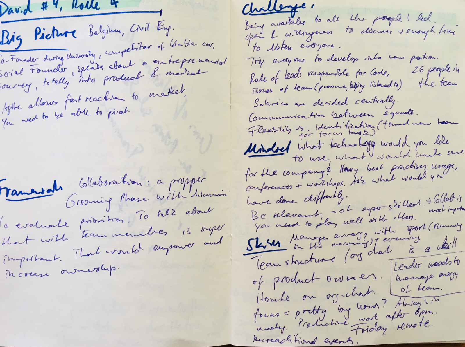 Interviews: Field reports from agile organisations
